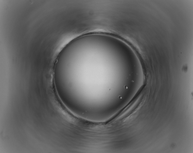 X0000093091367200709261220