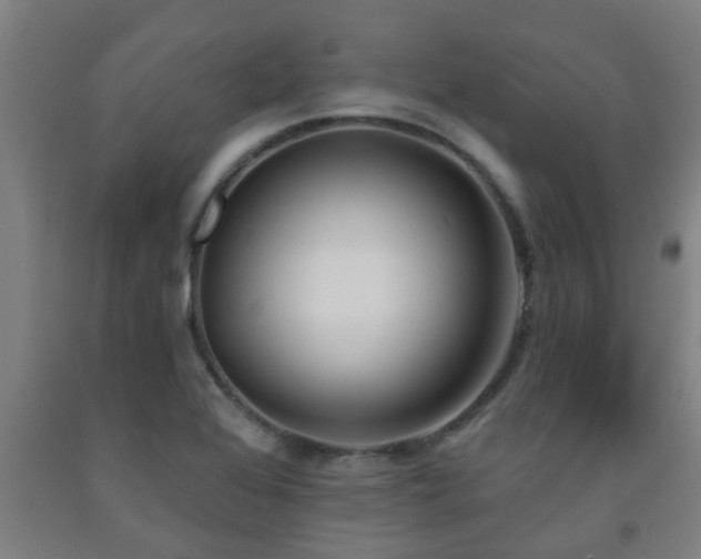 X0000093091368200709261220