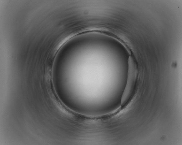 X0000093091369200709261220