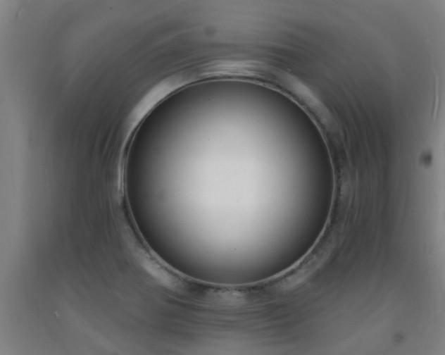 X0000093091370200709261220