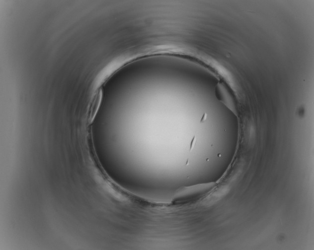 X0000093091373200709261220