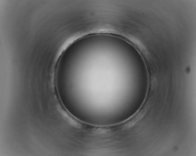 X0000093091374200709261220