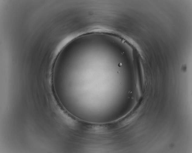 X0000093091375200709261220