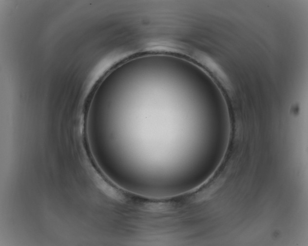 X0000093091376200709261220