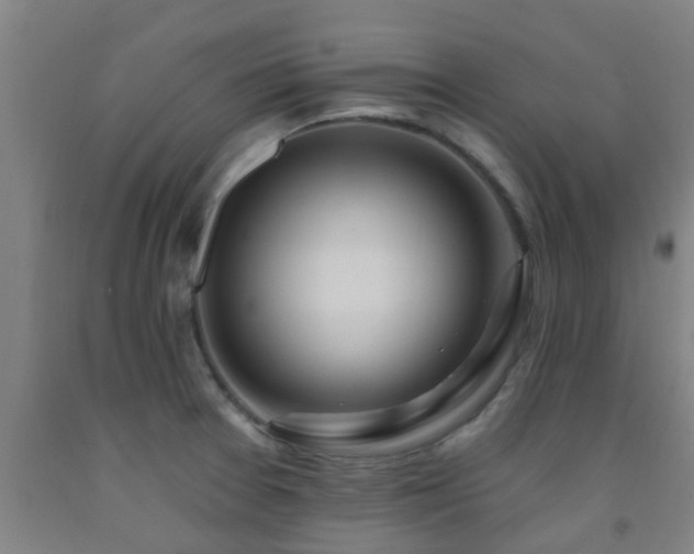 X0000093091377200709261220