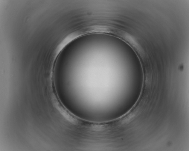 X0000093091378200709261220