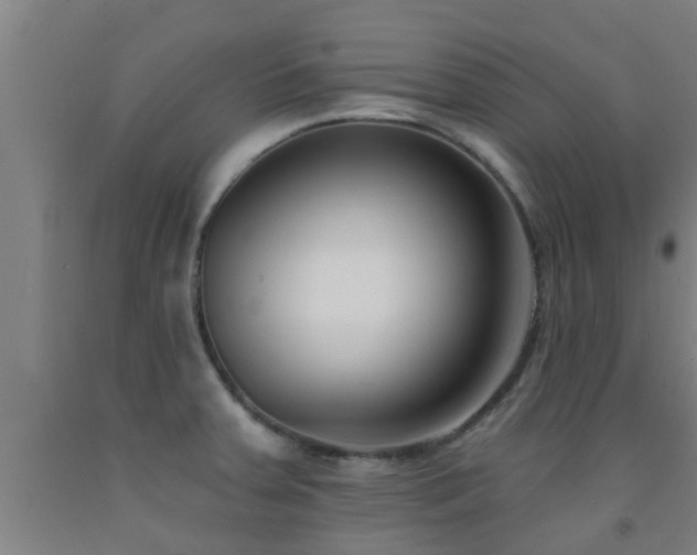 X0000093091379200709261220