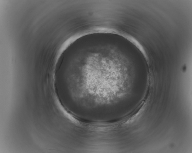 X0000093091381200709261220