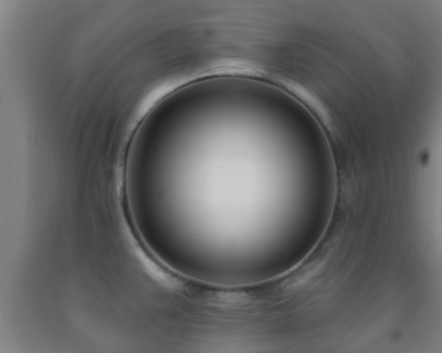 X0000093091383200709261219