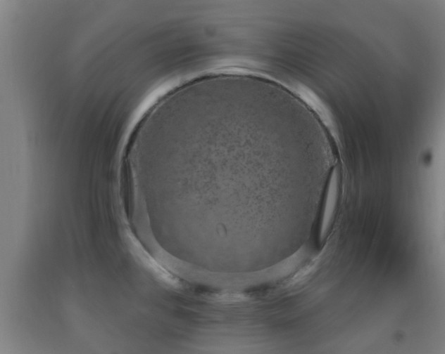 X0000093091384200709261219