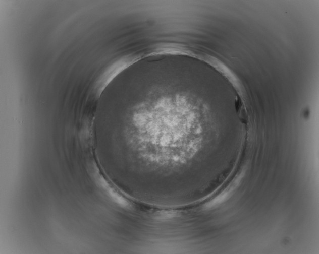 X0000093091385200709261219