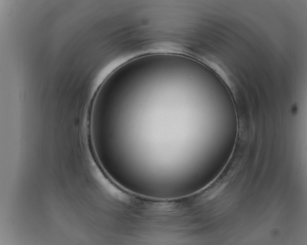 X0000093091387200709261219