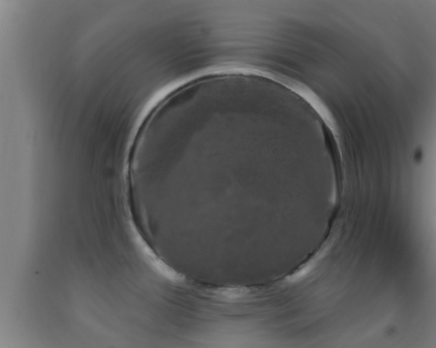 X0000093091388200709261219