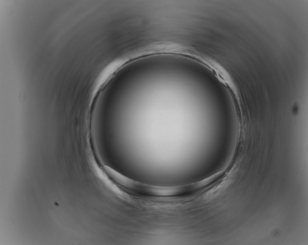 X0000093091389200709261219