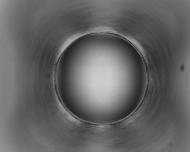 X0000093091390200709261219