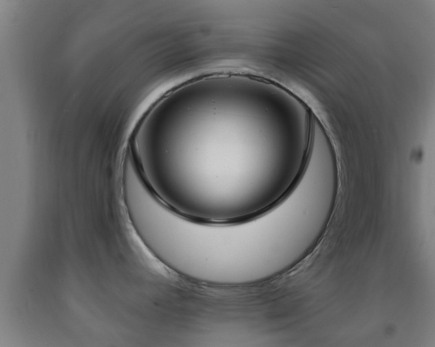 X0000093091392200709261219