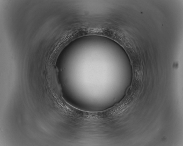 X0000093091393200709261219