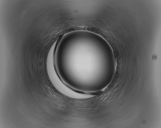X0000093091394200709261219