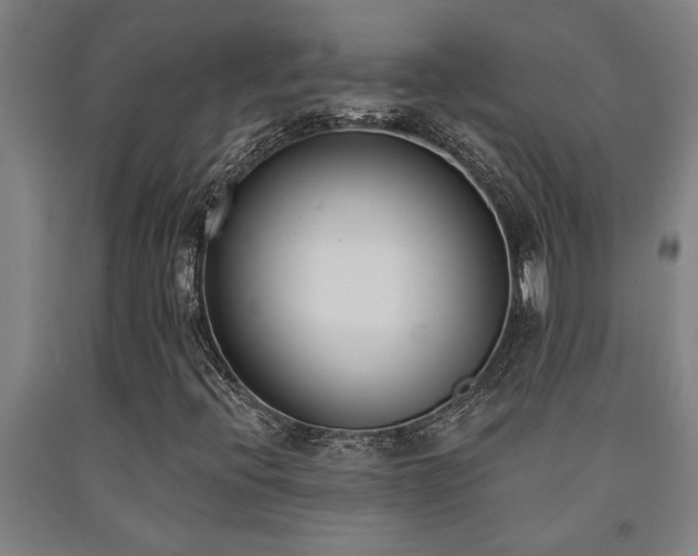 X0000093091396200709261219
