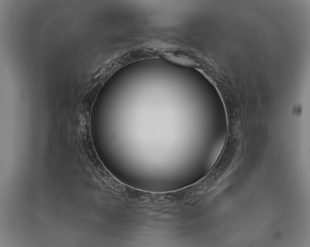 X0000093091397200709261219