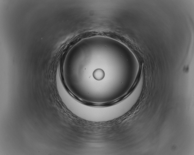 X0000093091398200709261219