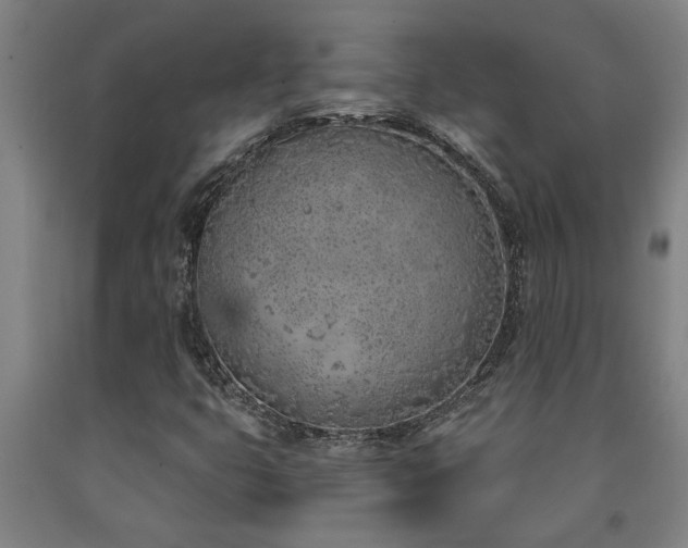 X0000093091399200709261219