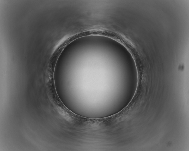 X0000093091400200709261219
