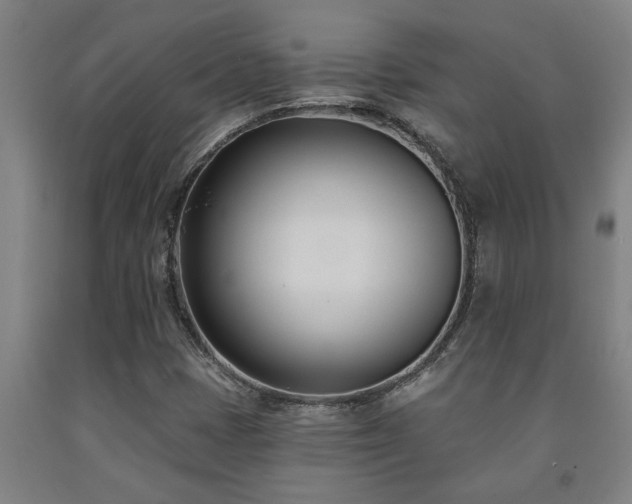 X0000093091401200709261219