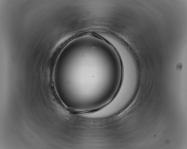 X0000093091402200709261219