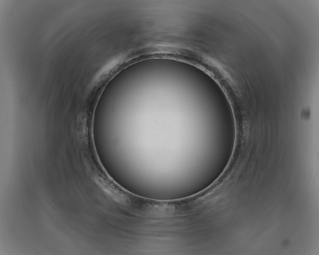 X0000093091403200709261219