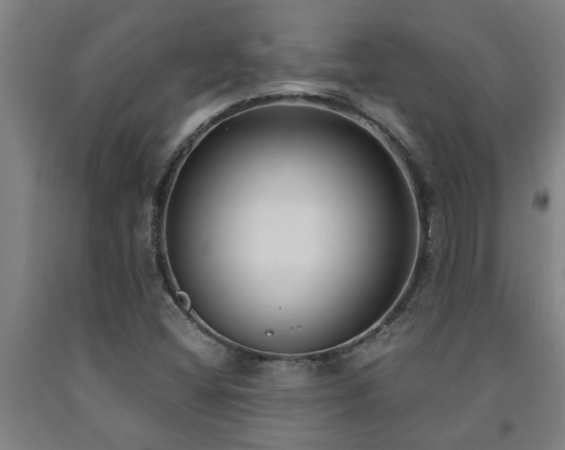 X0000093091404200709261219