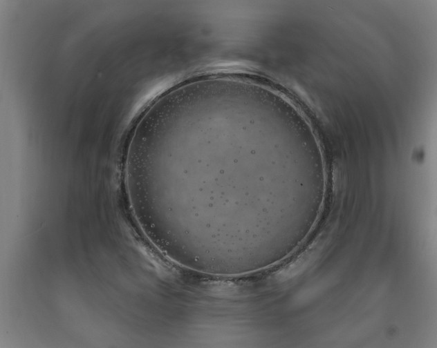 X0000093091405200709261219