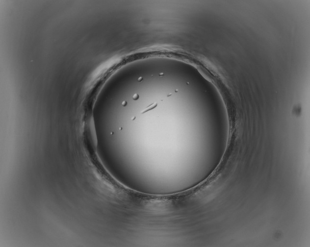 X0000093091406200709261219