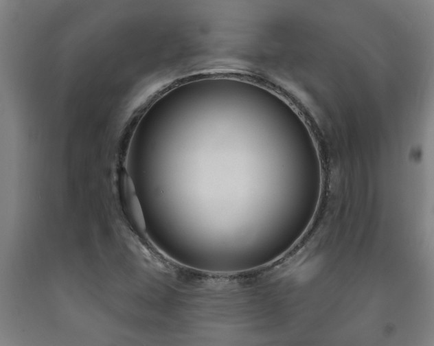 X0000093091407200709261219