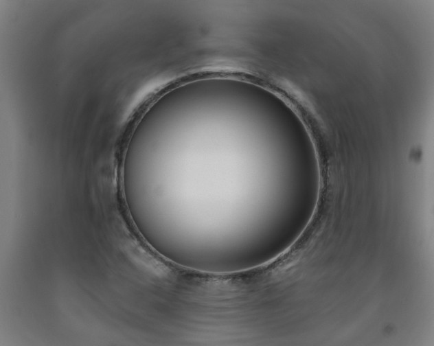 X0000093091408200709261219