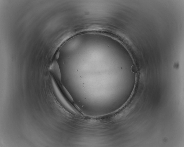 X0000093091409200709261219