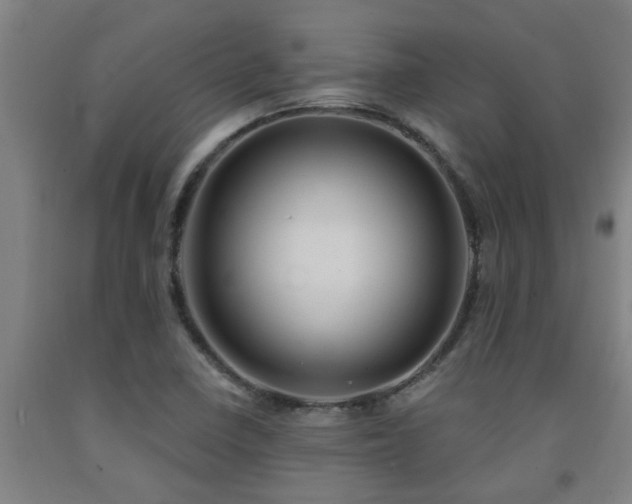 X0000093091410200709261219