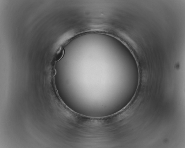 X0000093091411200709261219