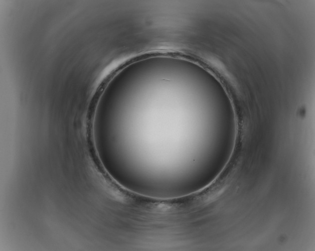 X0000093091412200709261219