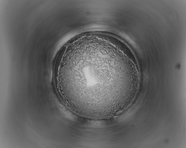 X0000093091413200709261219