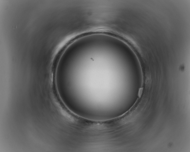 X0000093091414200709261219