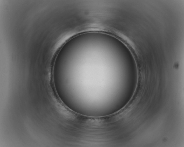 X0000093091415200709261219