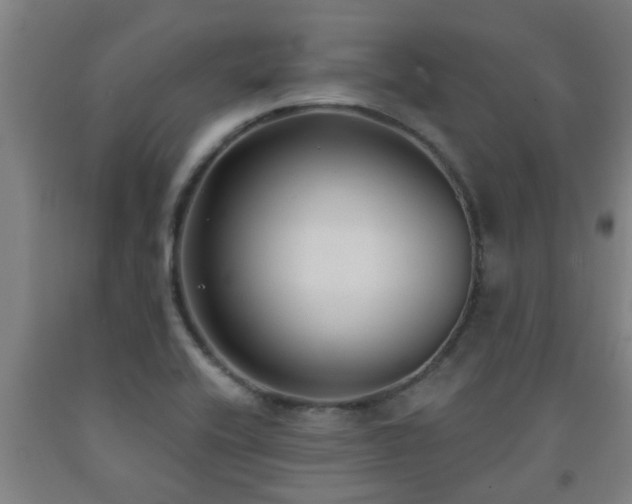 X0000093091416200709261219