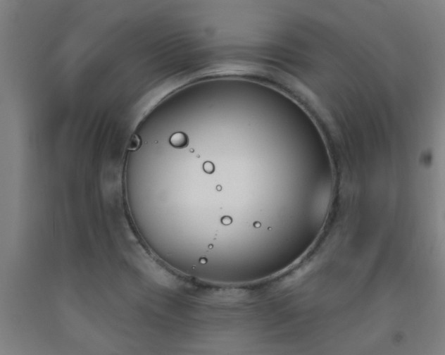 X0000093091417200709261219
