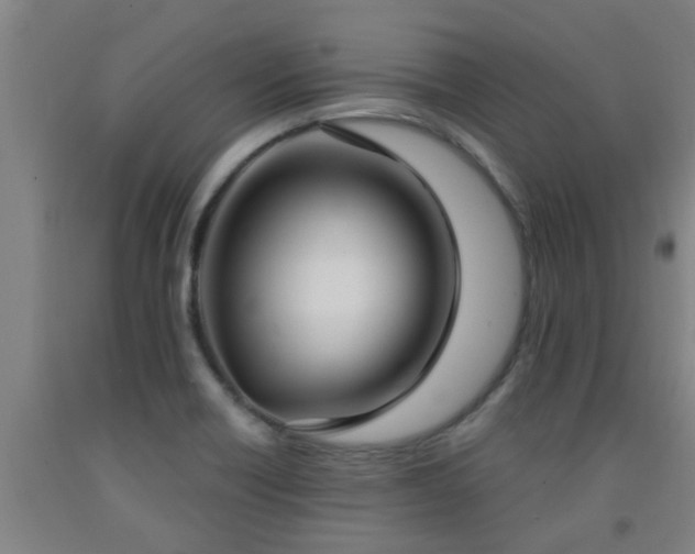 X0000093091418200709261219