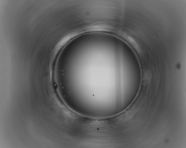 X0000093091419200709261219