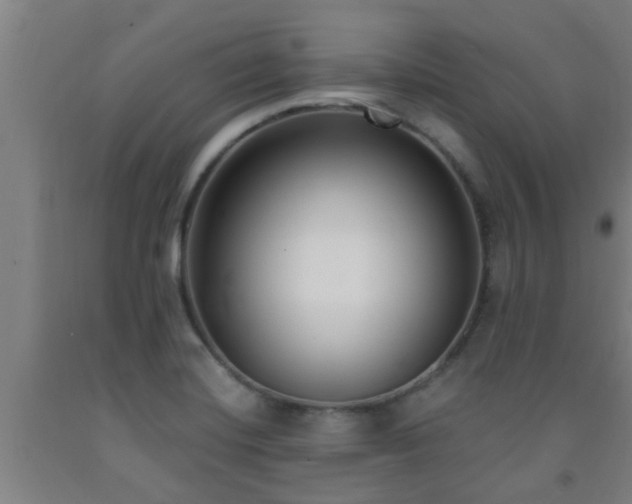 X0000093091420200709261219