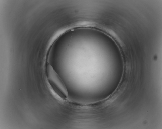 X0000093091421200709261219