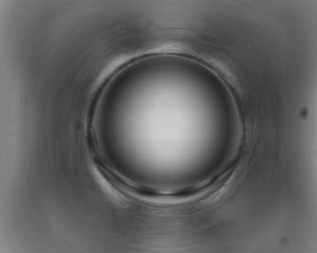 X0000093091422200709261219