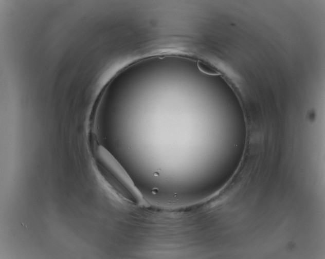 X0000093091423200709261219